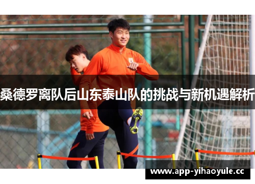 桑德罗离队后山东泰山队的挑战与新机遇解析