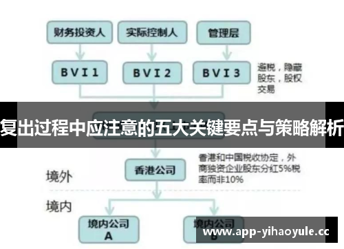 复出过程中应注意的五大关键要点与策略解析