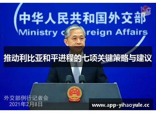 推动利比亚和平进程的七项关键策略与建议 推动利比亚和平进程的七项关键策略与建议