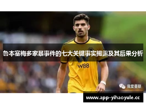 鲁本塞梅多家暴事件的七大关键事实揭露及其后果分析