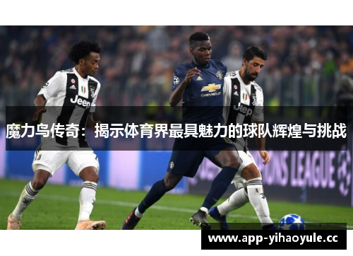 魔力鸟传奇:揭示体育界最具魅力的球队辉煌与挑战 魔力鸟传奇:揭示体育界最具魅力的球队辉煌与挑战