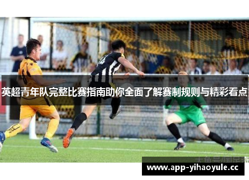 英超青年队完整比赛指南助你全面了解赛制规则与精彩看点 英超青年队完整比赛指南助你全面了解赛制规则与精彩看点